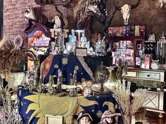 -雪灵魔法世界SHELLY’S TAROT(大良桂畔里店)