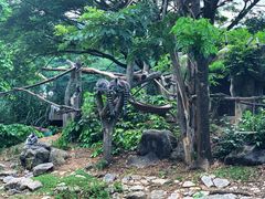 -清迈夜间动物园