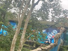 -中国大熊猫保护研究中心雅安碧峰峡基地