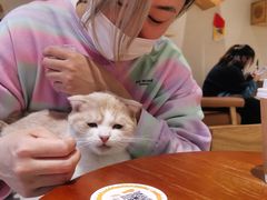 -藏猫猫咖啡主题馆(中央大道店)