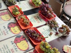 -马陆小张葡萄园农家乐