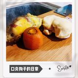 人不如狗之铲屎官的日常