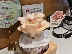 -烹然四季椰子鸡火锅(姚家园万象汇店)