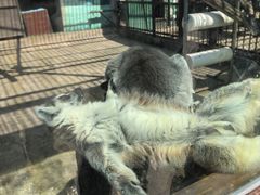 -昆明动物园
