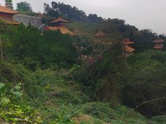 -南沙天后宫景区