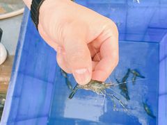 -微山湖湖畔好客居鱼馆渔家菜(微山湖风景区店)