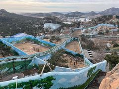 -西霞口神雕山野生动物世界