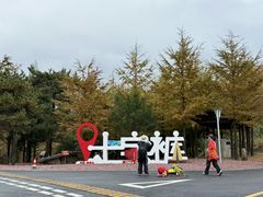 -四明山国家森林公园