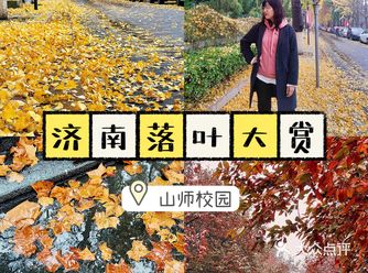 季节限定|你不知道校园的落叶有多美