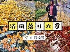 -山东师范大学(千佛山校区)