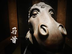 -闵行博物馆