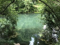 -花溪公园