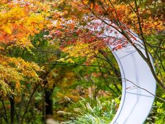 -花开海上生态园