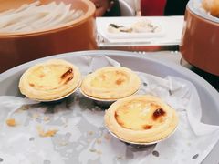 -龍歌自助小火锅(市南金茂湾店)