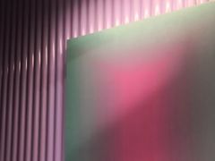 -椰小鸡·琼州糟粕醋·火锅(美兰缤纷城店)