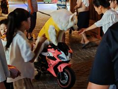 -景德镇古窑民俗博览区