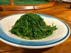 -蒙古大营(朝阳公园店)