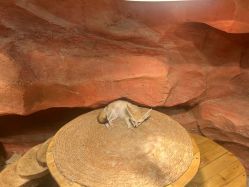 -Zoolung Zoolung动物主题公园(海信广场店)