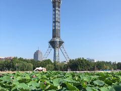 -裕华世纪公园