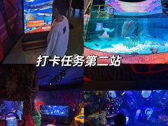 -沈阳海洋探索中心