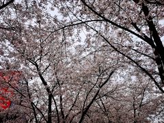 -龙美术馆(西岸馆)
