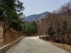 -北京鹫峰国家森林公园