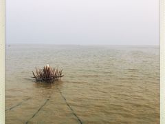 -洞里萨湖