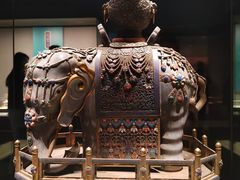 -河南自然博物馆