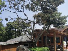 -美人鱼悬崖海景餐厅(鹿嘴山庄店)