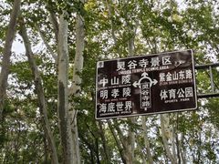 -灵谷景区