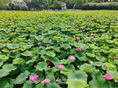 -黄兴公园