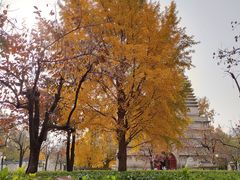 -北京石刻艺术博物馆(五塔寺)