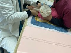 -宠颐生嘉德动物医院