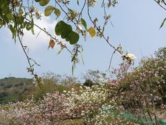 -小南山公园