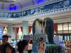 -帝企鹅自助餐厅•儿童岛•真企鹅(长隆企鹅酒店)