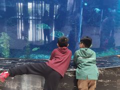 -OPEN開全日自助餐厅·牛肉火锅·海鲜(佛山希尔顿酒店)