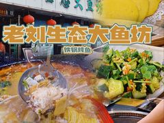 -老刘生态大鱼坊铁锅炖鱼(赛马场店)