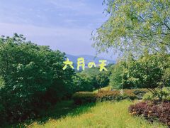 -羊山湖公园
