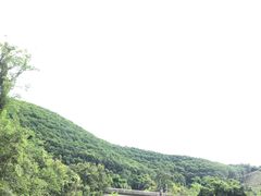 -西双版纳原始森林公园