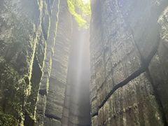 -梦幻奥陶纪景区