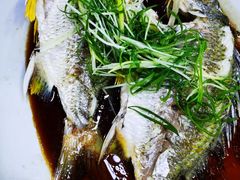 -老字号蛇口德记烧腊饭店·海鲜加工