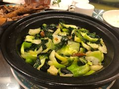 -漫渡庄绿岛花园•隐世庭园菜(滨湖店)