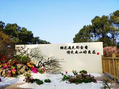 -南山植物园
