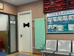 -天使宠物医院·犬猫分诊(彩虹店)
