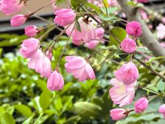 -龙湖冠寓(上海闵行星悦荟店)