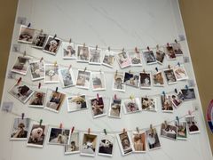 -瑞派康怡24h宠物医院·犬猫医疗中心·微创绝育(瑞景分院)