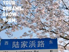 -南浦大桥长途旅游客运站