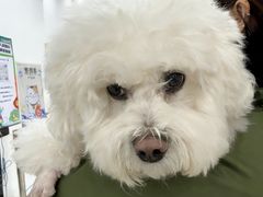 -派美特宠物医院·核磁CT·骨科肿瘤·疑难转诊(沈农禾丰店)