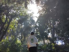 -南诏风情岛