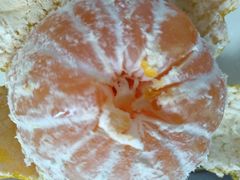 -前小桔亲子创意农场·草莓采摘·露营烧烤